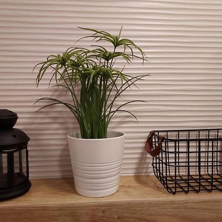 Apartament Sun&Fun - Rowy Rowy  Zewnętrze zdjęcie